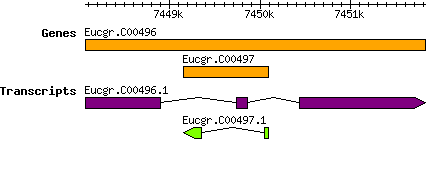 Eucgr.C00497.png