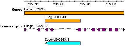 Eucgr.E03243.png