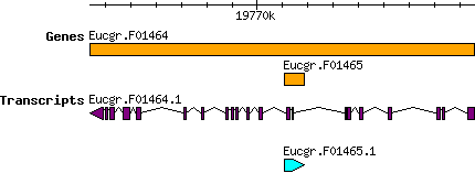 Eucgr.F01465.png