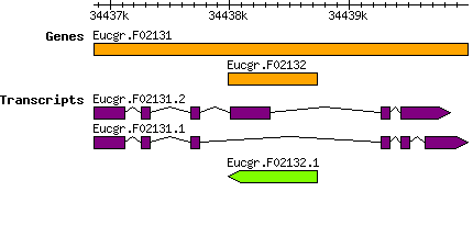 Eucgr.F02132.png