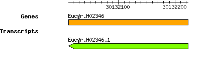 Eucgr.H02346.png
