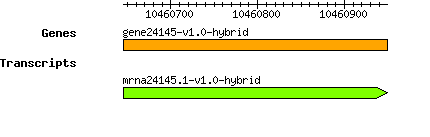 gene24145-v1.0-hybrid.png