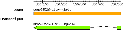 gene26526-v1.0-hybrid.png