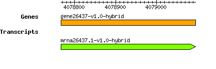 gene26437-v1.0-hybrid.png