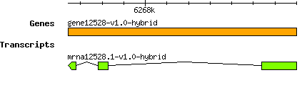 gene12528-v1.0-hybrid.png