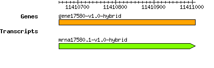 gene17580-v1.0-hybrid.png