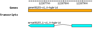 gene08193-v1.0-hybrid.png