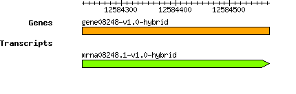 gene08248-v1.0-hybrid.png