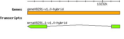 gene08291-v1.0-hybrid.png