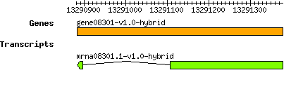 gene08301-v1.0-hybrid.png