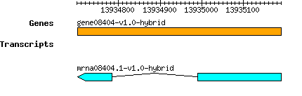 gene08404-v1.0-hybrid.png