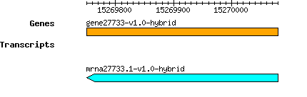 gene27733-v1.0-hybrid.png