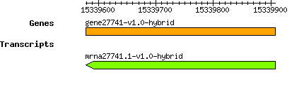 gene27741-v1.0-hybrid.png