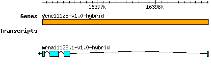 gene11128-v1.0-hybrid.png