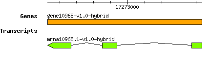 gene10968-v1.0-hybrid.png