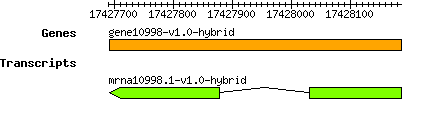 gene10998-v1.0-hybrid.png