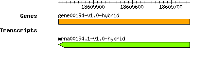 gene00194-v1.0-hybrid.png