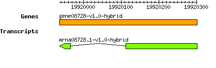 gene08728-v1.0-hybrid.png