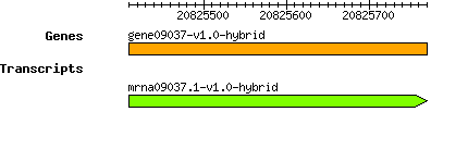 gene09037-v1.0-hybrid.png