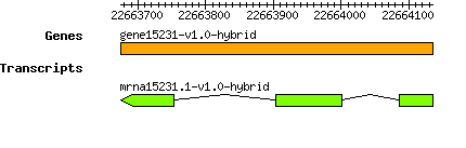 gene15231-v1.0-hybrid.png
