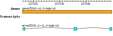 gene15241-v1.0-hybrid.png