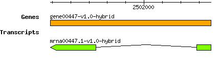 gene00447-v1.0-hybrid.png