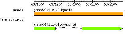 gene00941-v1.0-hybrid.png