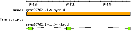 gene20762-v1.0-hybrid.png