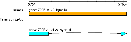 gene17225-v1.0-hybrid.png