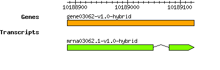 gene03062-v1.0-hybrid.png