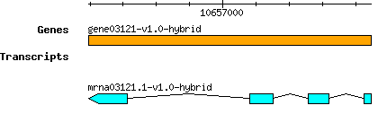 gene03121-v1.0-hybrid.png