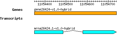 gene26424-v1.0-hybrid.png