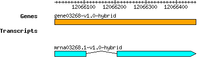 gene03268-v1.0-hybrid.png