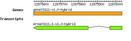 gene03111-v1.0-hybrid.png