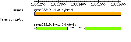 gene03319-v1.0-hybrid.png