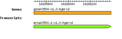 gene03500-v1.0-hybrid.png