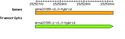 gene20399-v1.0-hybrid.png