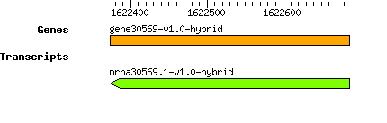 gene30569-v1.0-hybrid.png
