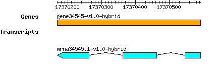 gene34545-v1.0-hybrid.png