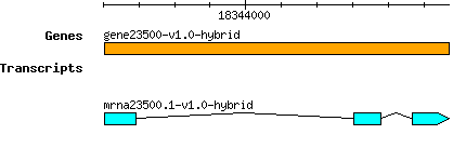 gene23500-v1.0-hybrid.png