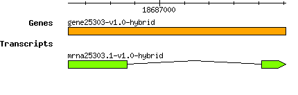 gene25303-v1.0-hybrid.png