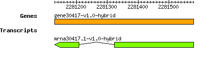 gene30417-v1.0-hybrid.png