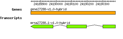 gene27288-v1.0-hybrid.png