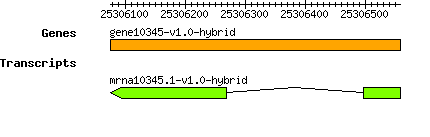 gene10345-v1.0-hybrid.png