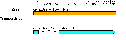 gene13997-v1.0-hybrid.png