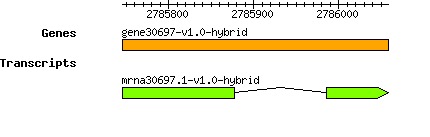 gene30697-v1.0-hybrid.png