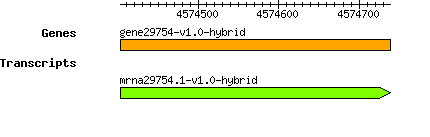 gene29754-v1.0-hybrid.png