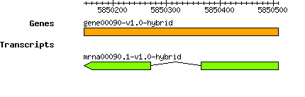gene00090-v1.0-hybrid.png