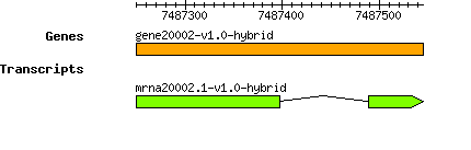 gene20002-v1.0-hybrid.png