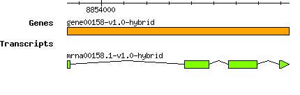 gene00158-v1.0-hybrid.png